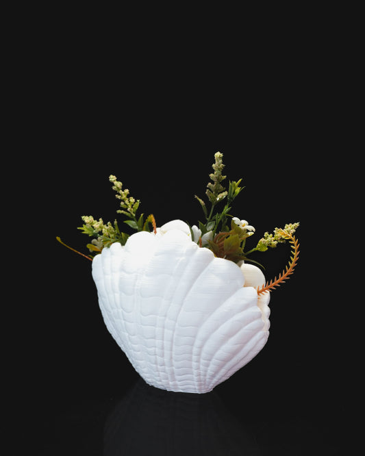 Shell Vase Decor