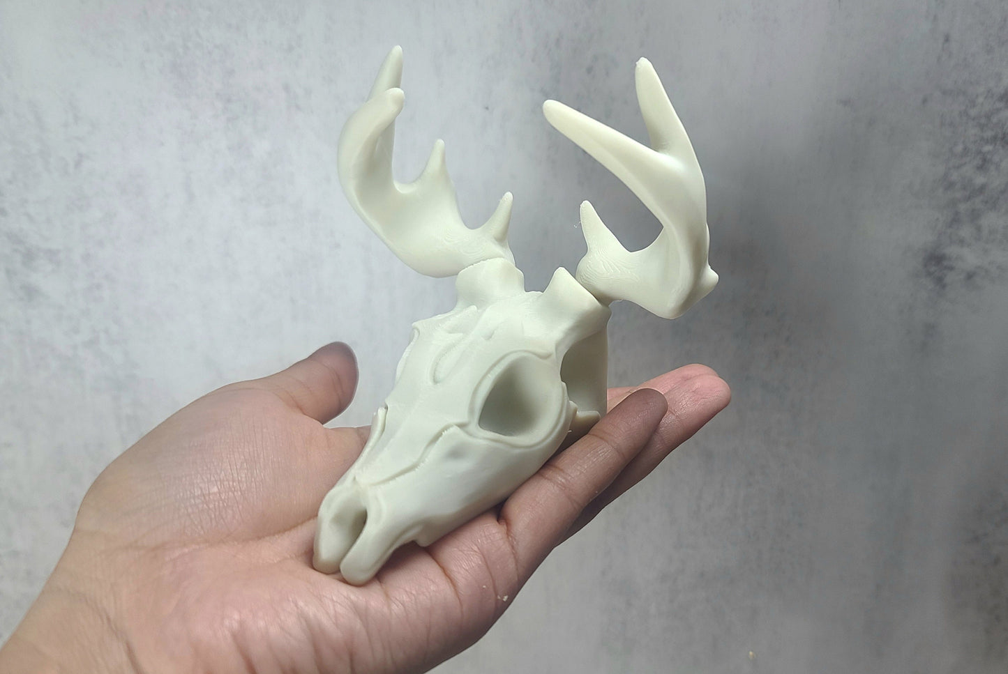 Deer Skull 3d Printed Tabletop Accessory