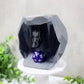 Bat Cave D20 Dice Holder, Dice Holders, DND, Tabletop Gaming, Dice Guardian, Dice Guardians