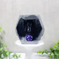 Bat Cave D20 Dice Holder, Dice Holders, DND, Tabletop Gaming, Dice Guardian, Dice Guardians