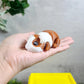 Guinea Pig 3d Print with House, Layers in Green, Guinea Pig and House, Adopt a Guinea Pig