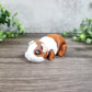 Guinea Pig 3d Print, Layers in Green, Adopt a Guinea Pig